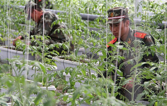 ���Z׃�F(xi��n)������ԭ�ٱ���������